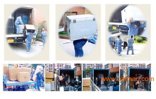 臺江區(qū)搬家公司價(jià)格與口碑服務(wù)指南